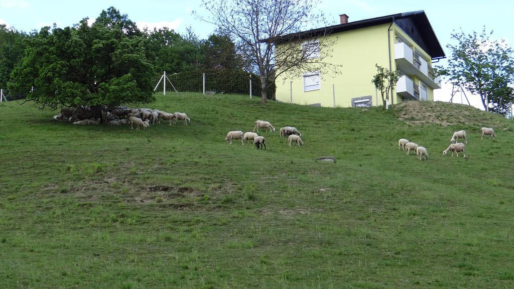 Relax Center Olimian Leilighet Podčetrtek Eksteriør bilde