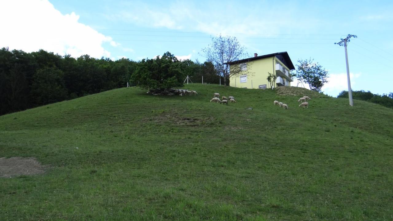 Relax Center Olimian Leilighet Podčetrtek Rom bilde